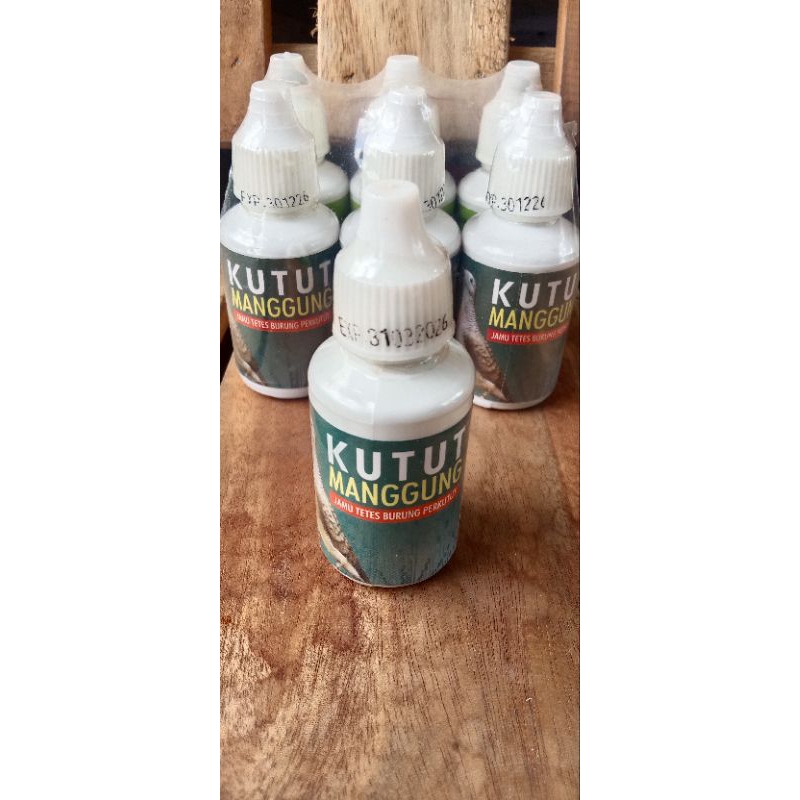 kutut manggung jamu tetes perkutut dan puter derukuk