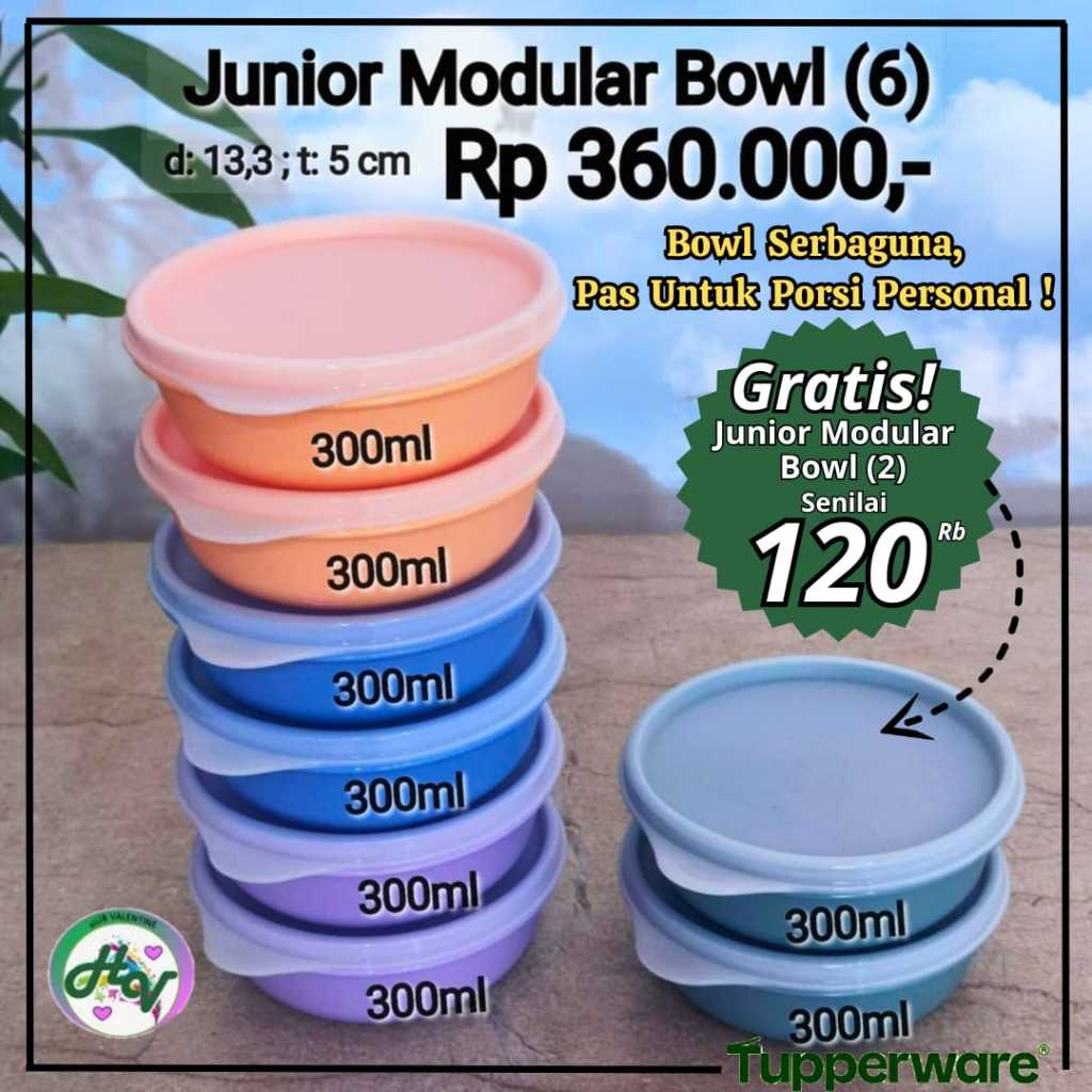 TUPPERWARE Junior Modular Bowl 300 ml set ( isi 4 buah / 1 buah)