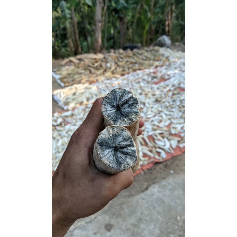 

GAPLEK GATOT 1KG ASLI GUNUNGKIDUL