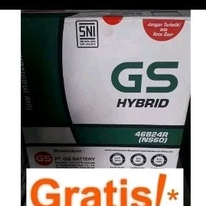 gs hybrid ns60