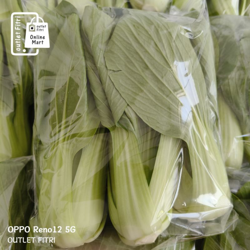 

[1 pack] Pakcoy Hidroponik - Sawi Daging