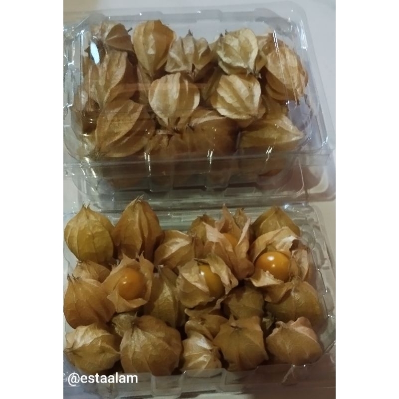 

PROMO Ciplukan Murah / Golden Berry / Cecendet 100gr