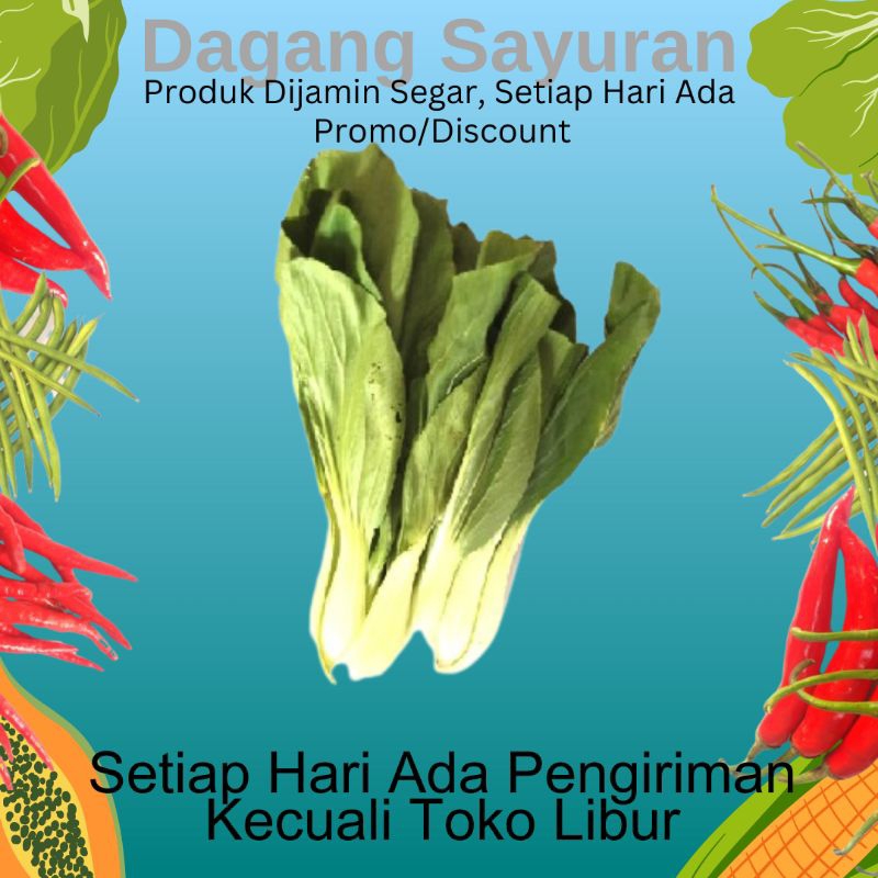 

POKCOY/PAKCOY/SAWI SENDOK/SAYUR SEGAR/SAYURAN SEGAR/JUAL SAYUR/JUAL SAYURAN/DAGANG SAYUR/DAGANG SAYURAN/PEDAGANG SAYUR/PEDAGANG SAYURAN/PENJUAL SAYUR/PENJUAL SAYURAN/SERPONG/BSD/BINTARO/CIPUTAT/PAMULANG/PONDOK AREN/TANGERANG SELATAN/TANGSEL