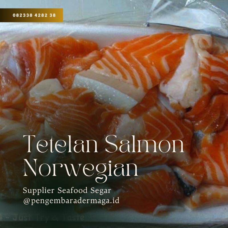 

(500gr) Tetelan Salmon Norwegia