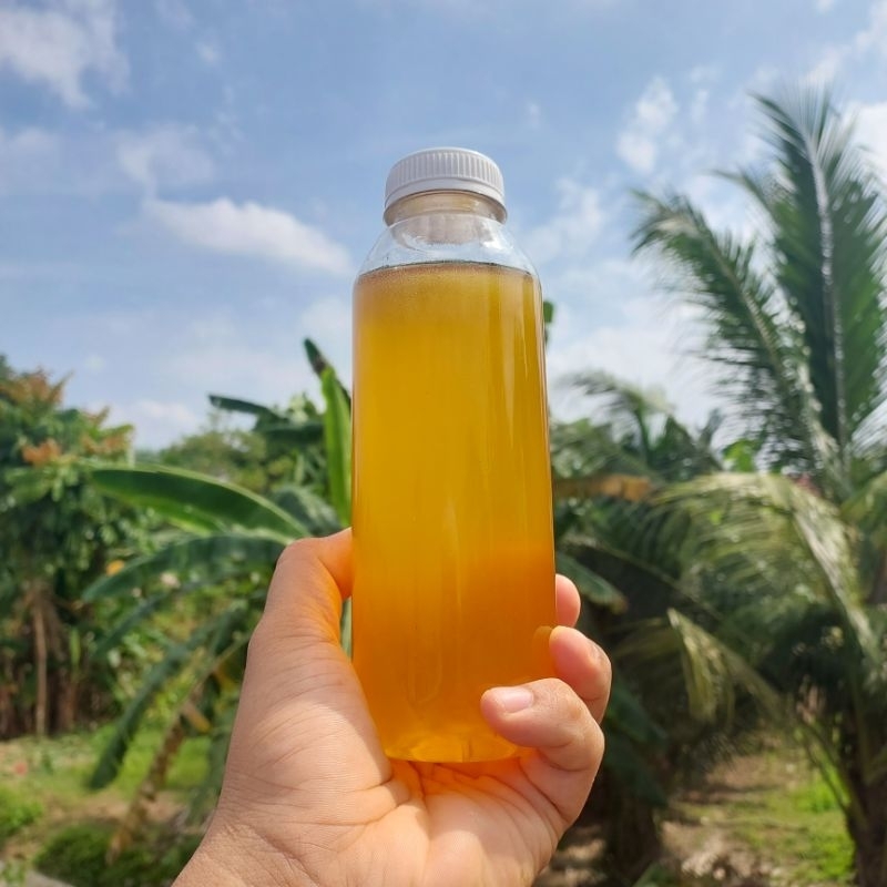 

Madu Pahit Hutan Liar Sialang Asli dan Murni 1kg / 1000 gram