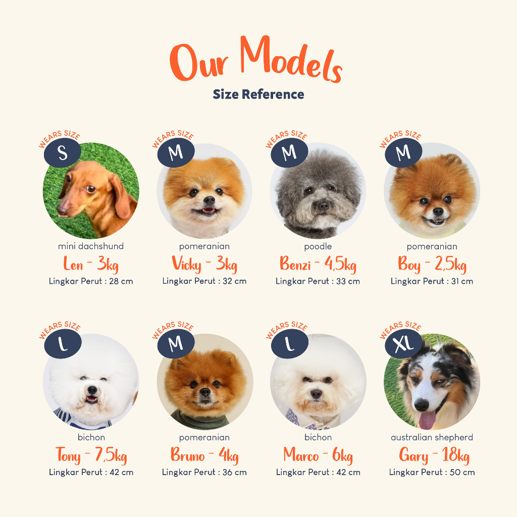 Seaningrum Pawlovin - Manner Belt / Penutup Popok Anjing Premium Waterproof