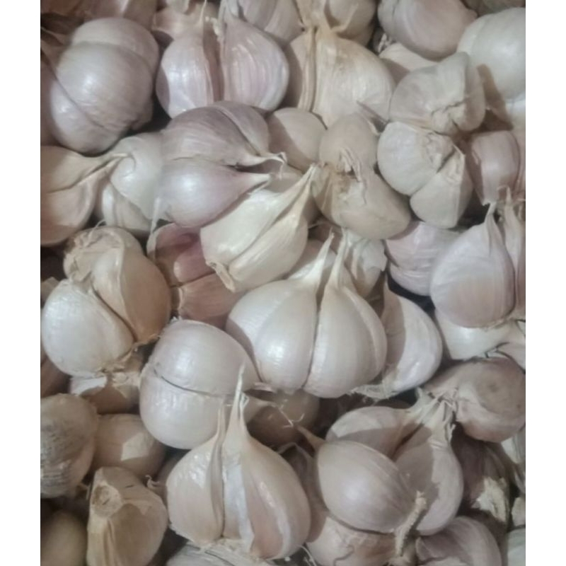 

bawang putih kating 200 gram