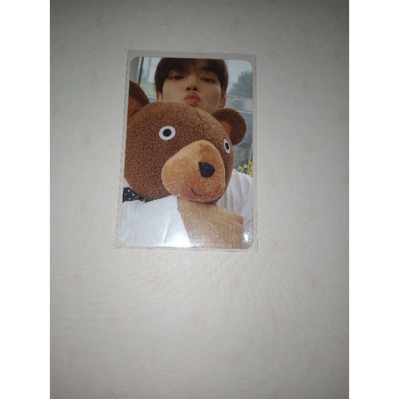 Taeyong boneka sticker photocard official