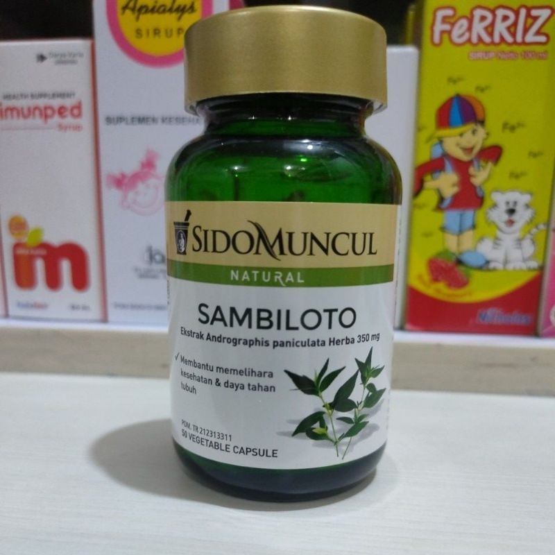 sambiloto sidomuncul