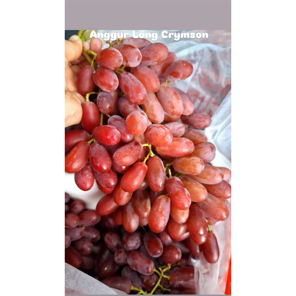 

Buah Anggur long Crimson Premium 500 gram I 1 kg