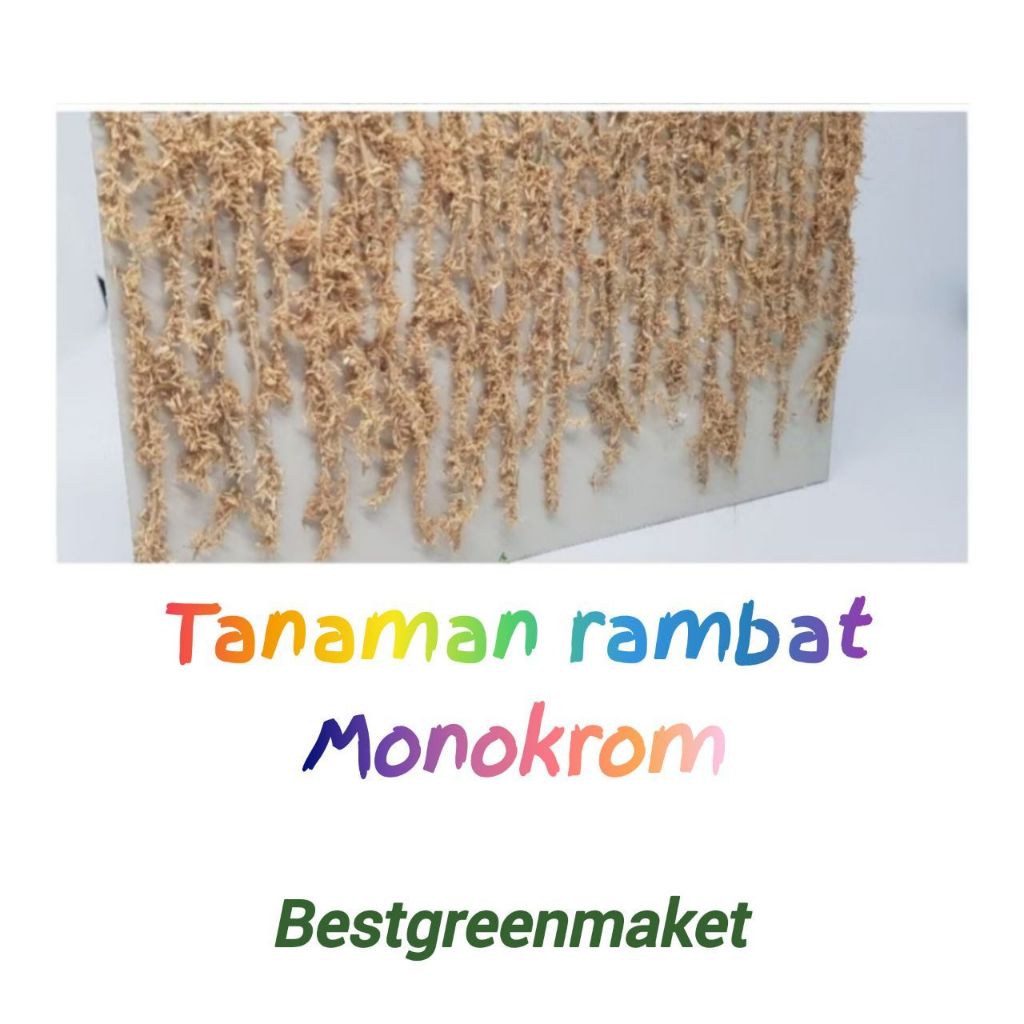 Diorama Tanaman Rambat Monokrom Maket MIniatur