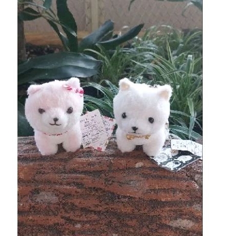 Gantungan Kunci Ganci Boneka Shiba Amuse