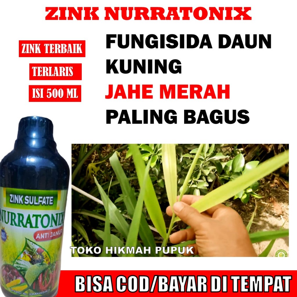 PATEK FUNGISIDA PENYAKIT KUNING DAUN PADA JAHE MERAH PALING BAGUS, Pupuk Organik Semprot Hama/Virus 