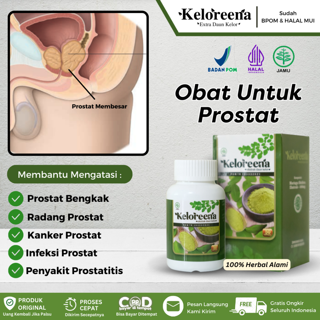Keloreena Kapsul - Obat Prostat, Kelenjar Prostat, Prostat Bengkak, Kanker Prostat, Nyeri Buang Air 