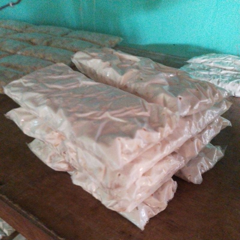 

Tempe kedelai