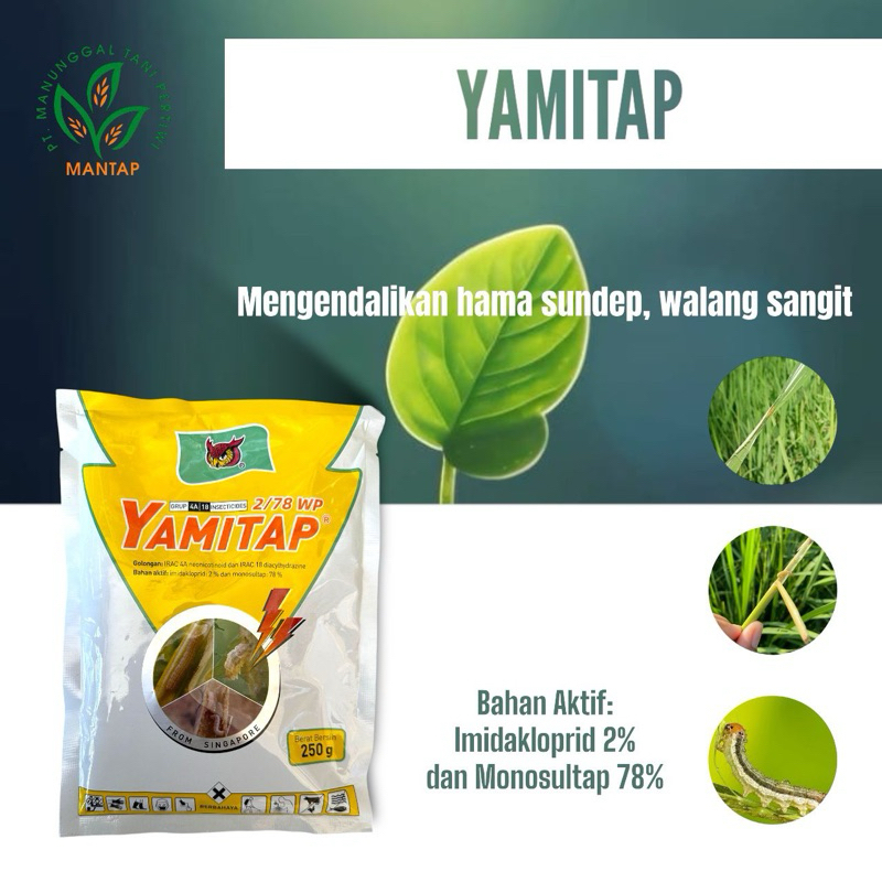 Yamitap 100 gr (Imidakloprid+Monosultap)