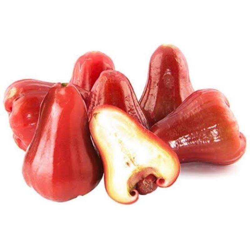 

Jambu citra 500gr