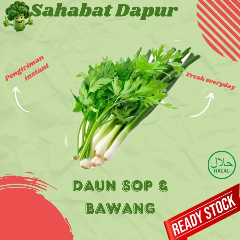

Daun sop + daun bawang per ikat - Sahabat Dapur Delivery
