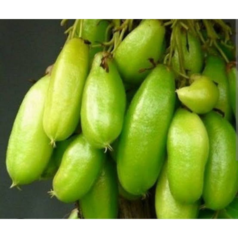 

BELIMBING WULUH / SAYUR 250GR