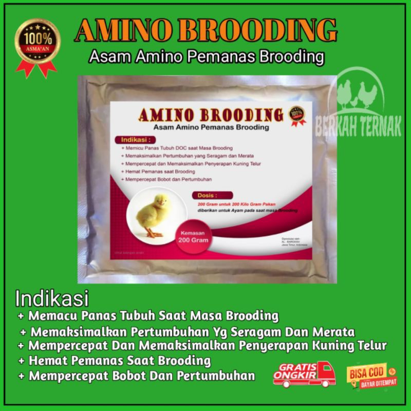 Amino brooding - Asam Amino - premix suplemen broding - suplemen broding - vitamin ayam