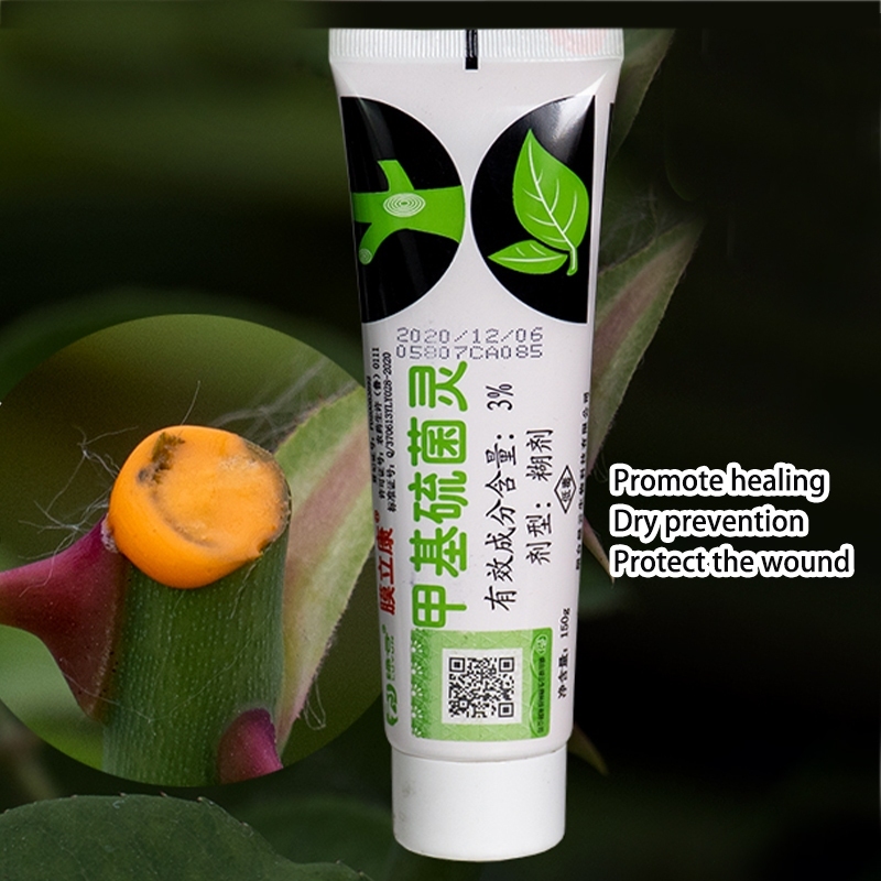 150g Salep Kambium Bonsai Salep Kambium Luka Kulit Batang Pohon Healing Paste Paste Obat Luka Kulit 