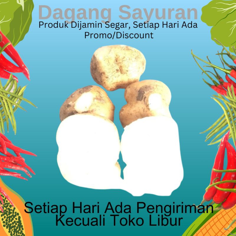 

BENGKOANG/BINGKUANG 500 GRAM