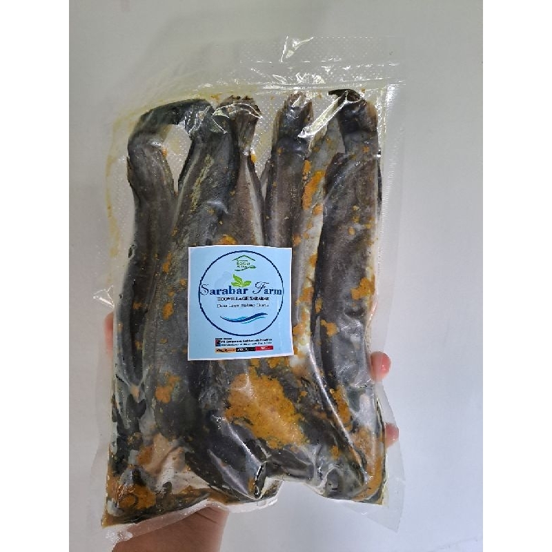 

Lele bumbu marinasi ( pengiriman hanya untuk jabodetabek )