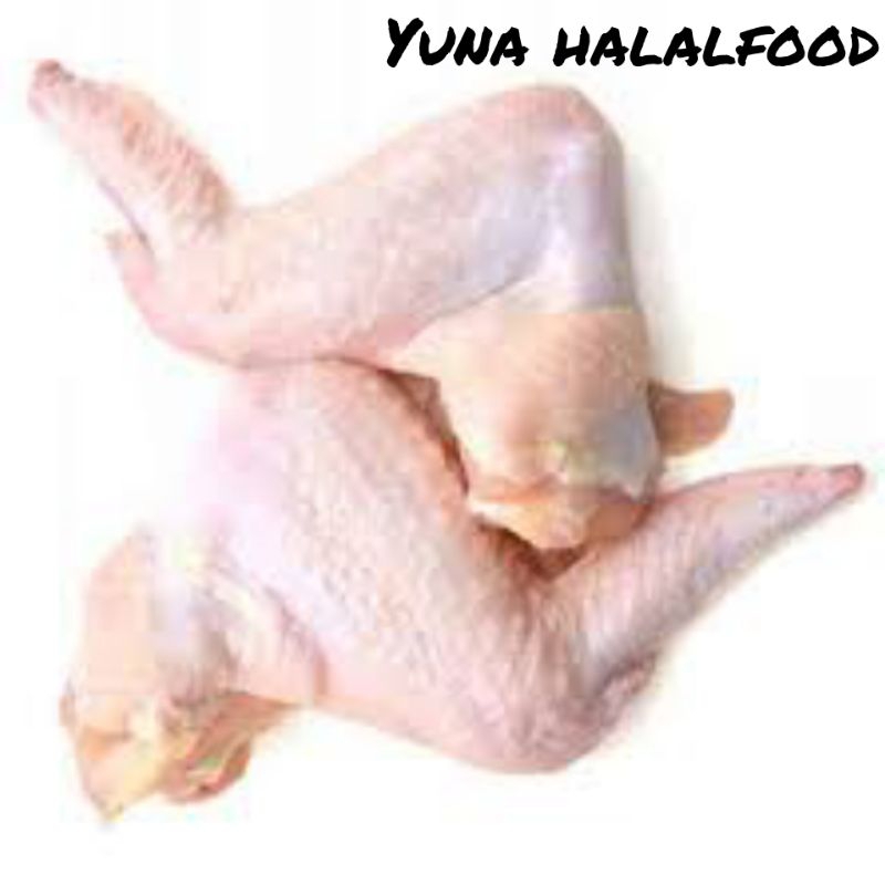 

sayam ayam segar 1 kg