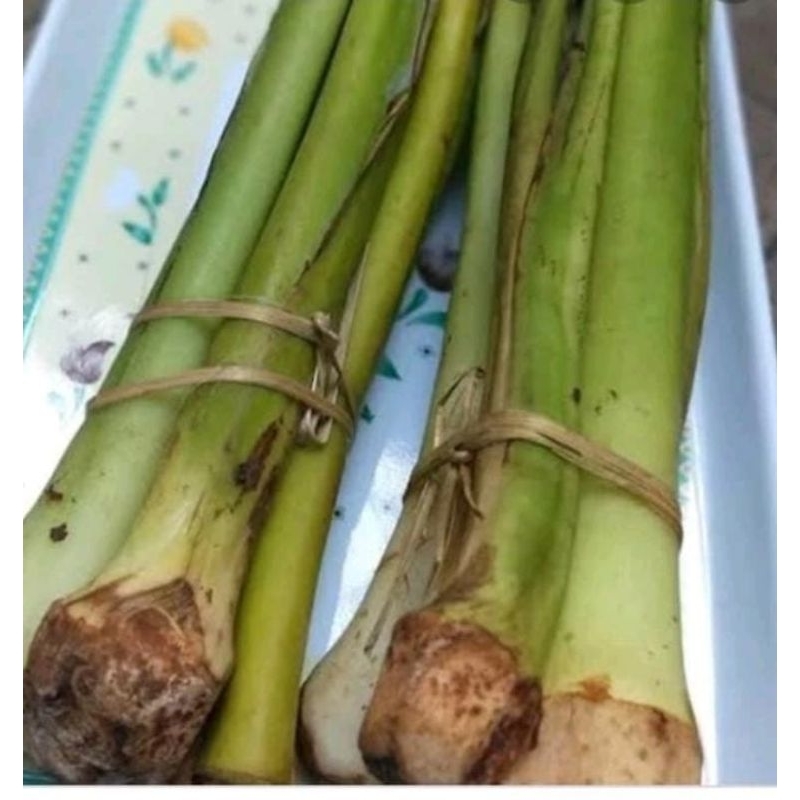 

batang talas/lompong sayur 4 pcs