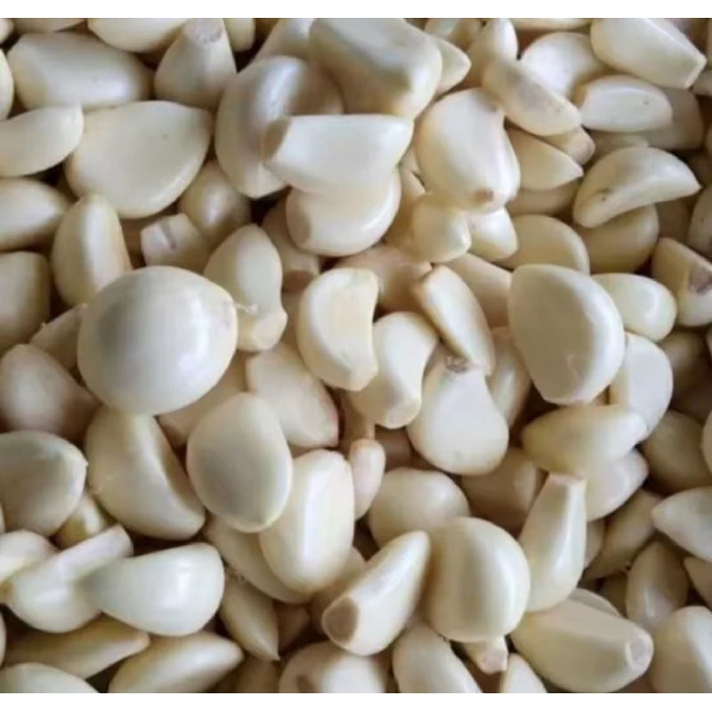 

Bawang Honan / Sinco Kupas 1kg