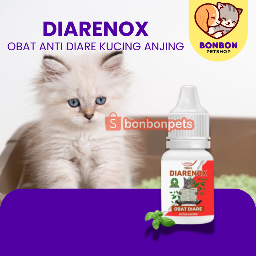Diarenox Obat Mencret Diare Anak Kucing Venox Anti Diare Mencret Cat Kitten Adult