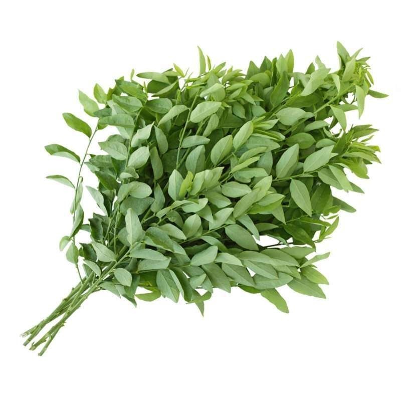 

DAUN KATUK ORGANIK BSP FARM 100GR