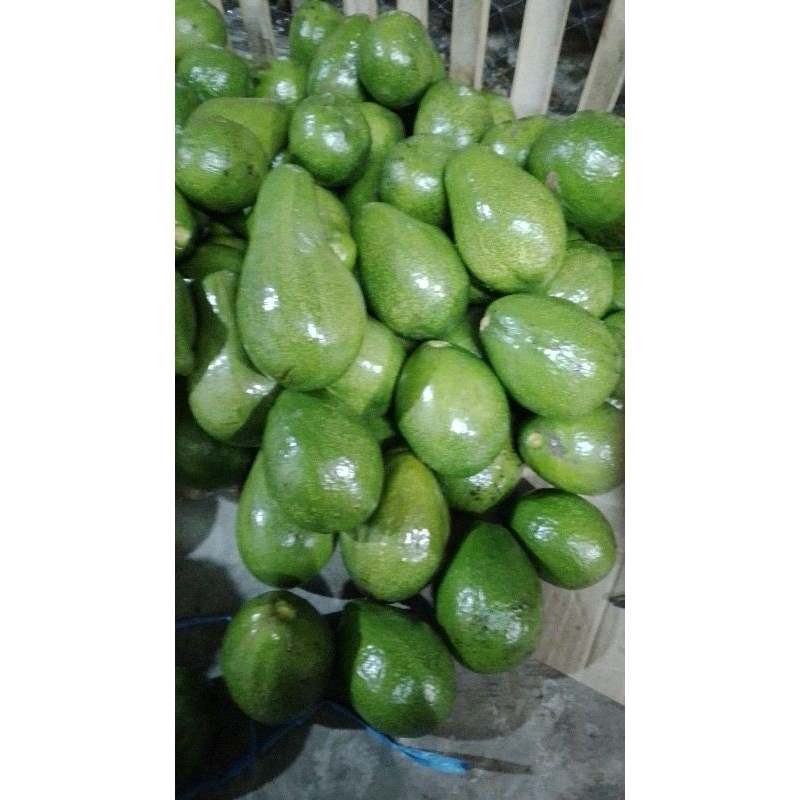 

alpuket