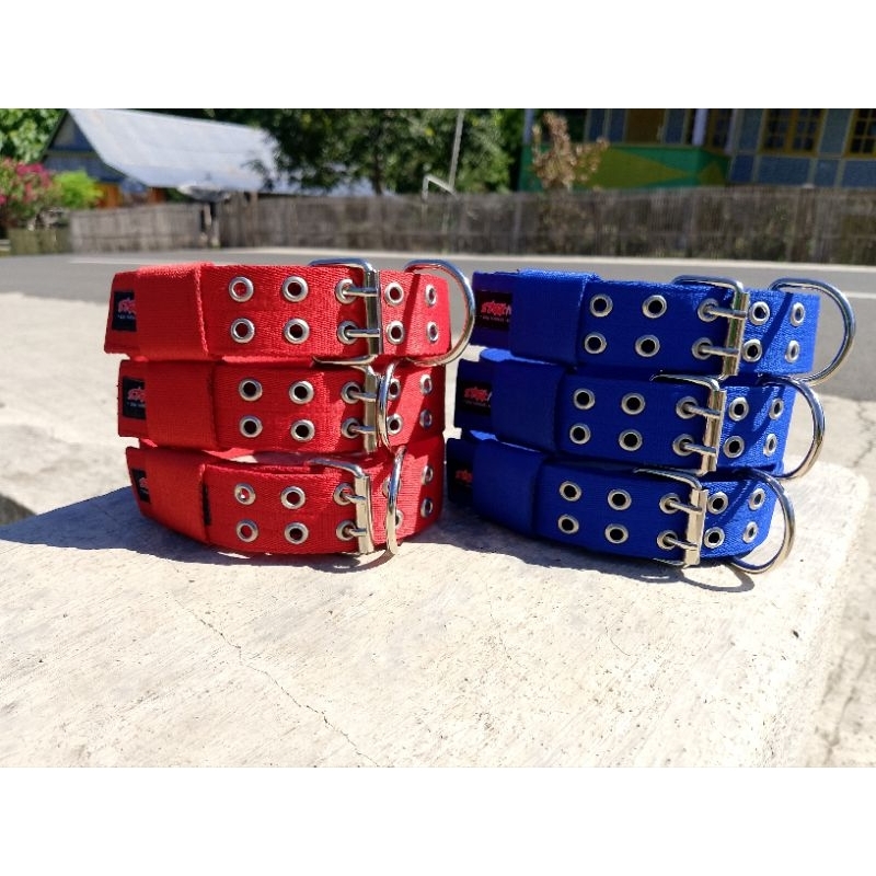 kalung anjing pemburu
