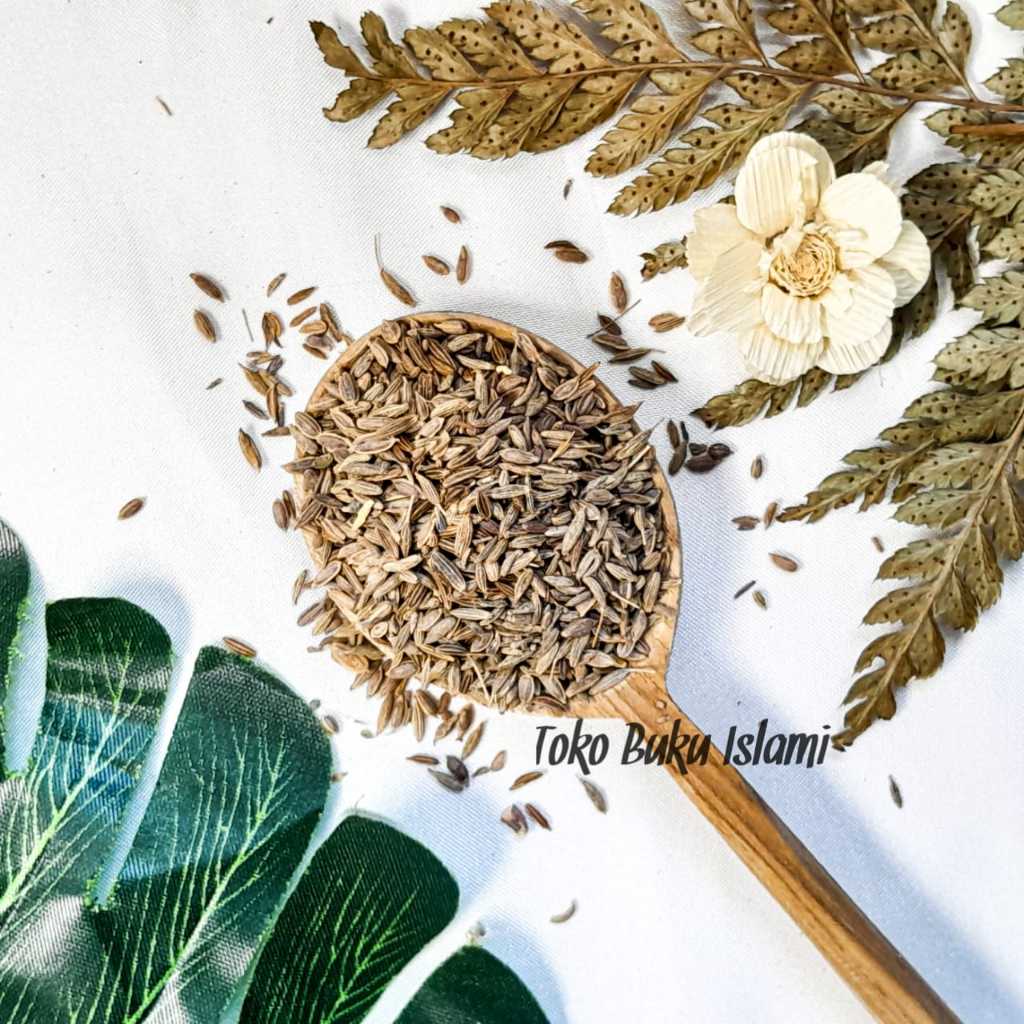 

Caraway 1kg Jintan Wangi Jintan Masak 500gr Caraway Seed PREMIUM QUALITY