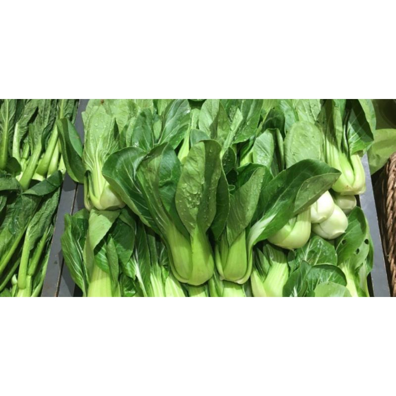 

sayur sawi sendok 500g