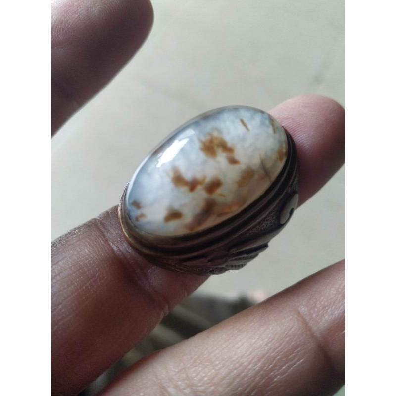 Batu akik Pandan kapas Dendrid unik Natural 52/1