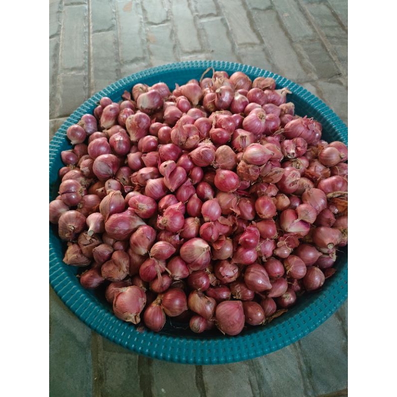 

BawangMerahLokal/500Grm