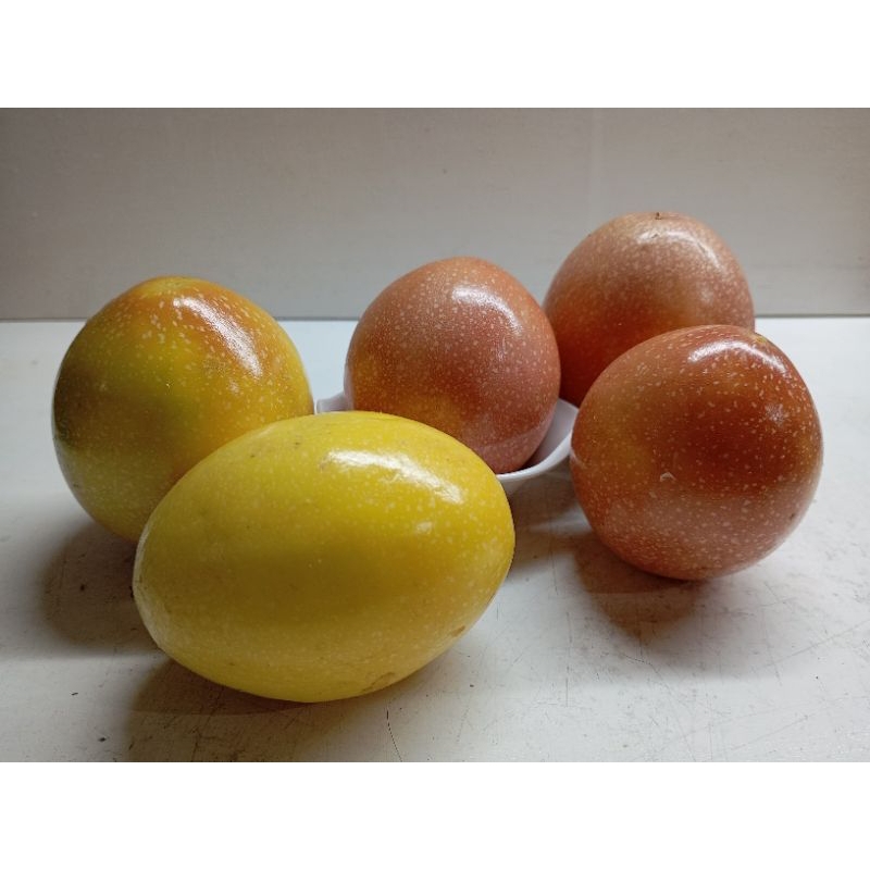 

buah markisa segar