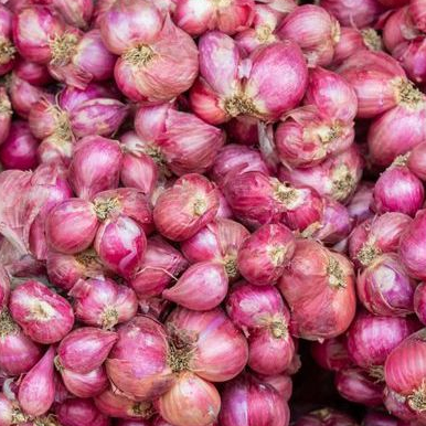 

Bawang Merah Kualitas Super 100 gram | Bawang Merah Kering Super