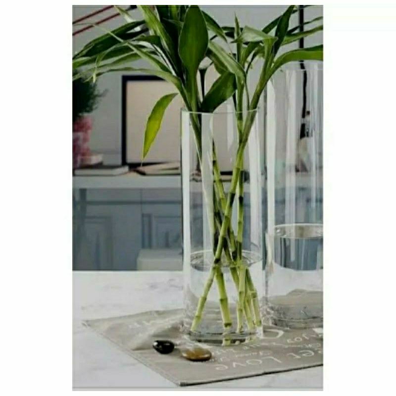 paket 2 pcs vas bunga kaca botol cuting wadah cupang pot bunga bahan kaca potong botol cuting