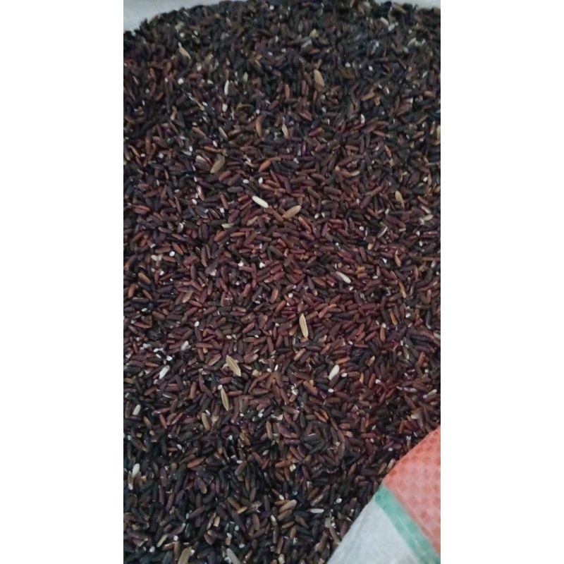 

KETAN HITAM KONSUMSI BERKUALITAS SUPER 500GRAM