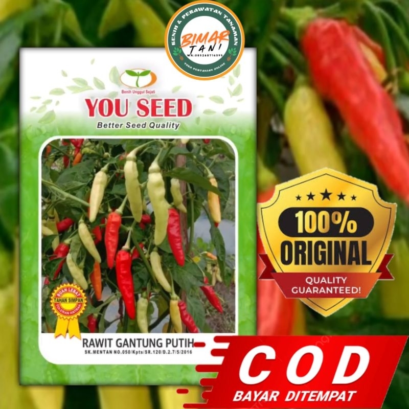Benih Cabe Rawit GANTUNG PUTIH - You Seed