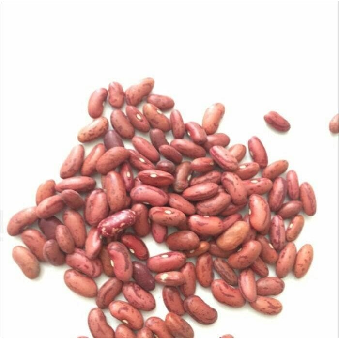 

500 gram Kacang Jogo Merah medan