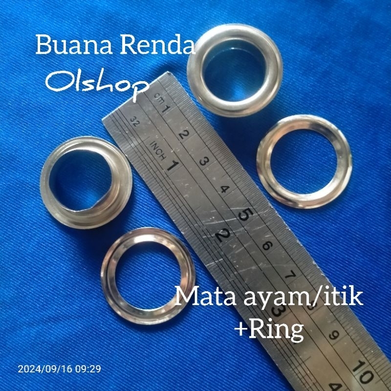 Mata ayam/itik perlusin