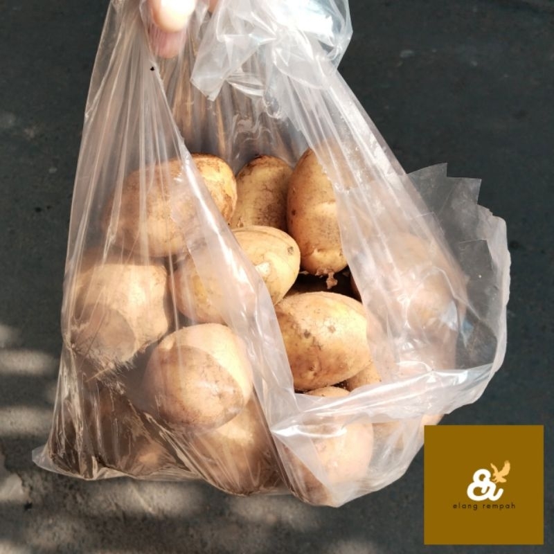 

KENTANG SEGAR KENTANG DIENG SUPER 500 GRAM