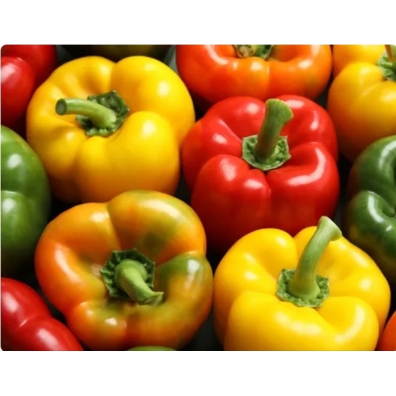 

Paprika Merah/Kuning/Hijau Fresh 1 pcs