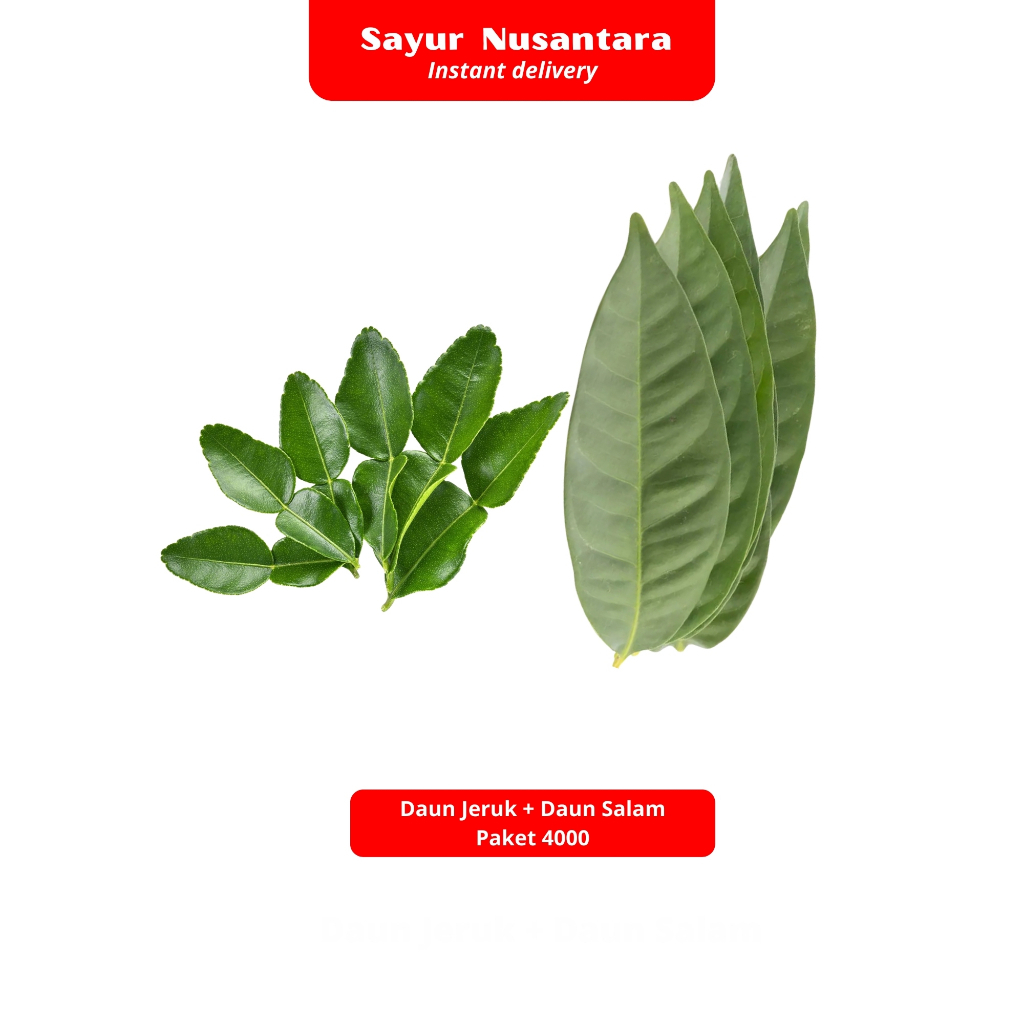 

Daun Jeruk + Daun Salam Paket 4000 - Sayur Nusantara