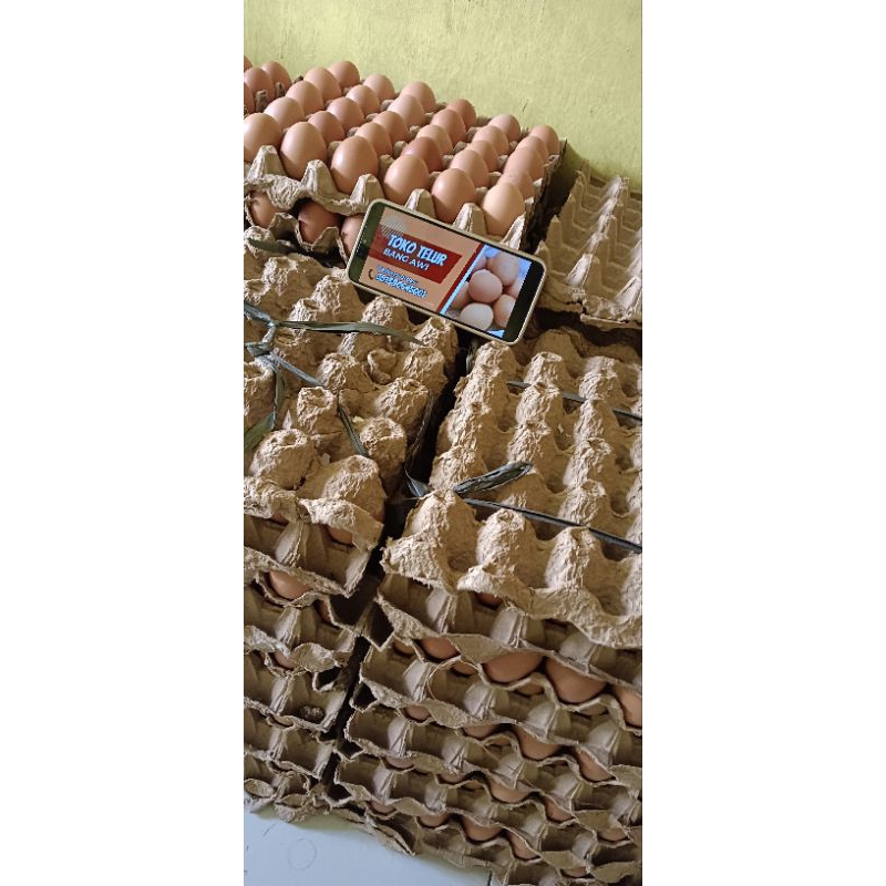 

bang awi telur ayam negeri fresh paling murah 30 butir