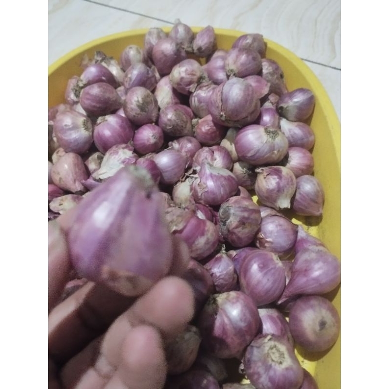 

bawang merah nganjuk besar 1kg